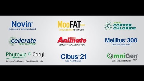 Quality Dairy Cattle Feed Additives And Supplements From Agribution Canada Ltd!