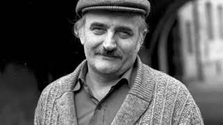 Josef Somr - Cestou Domů 30.6.1987, Vydáno 1988