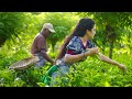 Ceylon Tea | World famous Sri Lankan secret | Poorna - The nature girl |