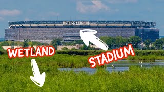 Stadiums located in weird places