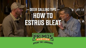 Deer Calling Tips - When And How To Estrus Bleat