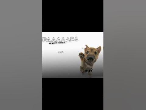 stoooop - YouTube