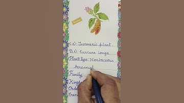 Journal With Me Plant Journal | Turmeric Plant Botanical Insights | Plant Bullet Journal | Scrapbook
