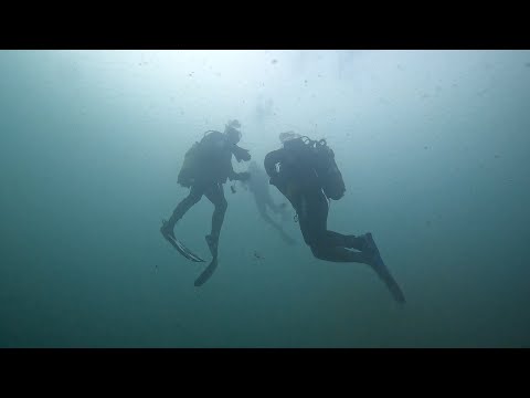 Nautilus Dive Club