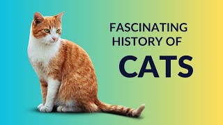 The Fascinating History of Cats