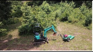 CUTTING SEVERLY OVERGROWN FEILD WITH BRUSH MOWER AND CLEARING TREES