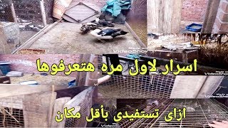 تعالوا شوفوا ازاى قسمت سطحى واسرار لاول مره هتعرفوها // وازاى استفدت بكل مكان وربيت فيه طيور