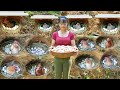TIMELAPSE Build Many Nest For Hens To Lay Egg Harvest Chicken Eggs Ducks Eggs Go To Sell TIMELAPSE Build Many Nest For Hens To Lay Egg Harvest Chicken Eggs Ducks Eggs Go To Sell