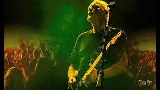 David Gilmour ❀ Comfortably Numb ☆Live In São Paulo Brazil☆