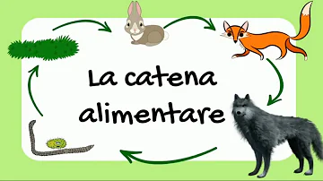 Chi chiude e riapre la catena alimentare?