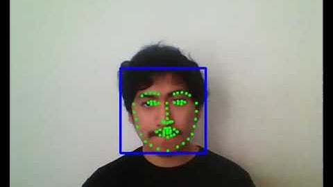 Real-Time Face and Facial Keypoints Detection