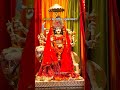 Mata Rani Navratri Special 🙏 | Jai Mata Di B #cattledisease hajan 2026