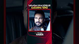 Tarkandan Sokak Köpekleri Kararına Tepki
