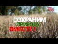 Сохраним природу ВМЕСТЕ