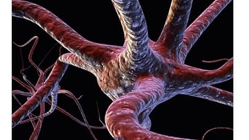 Introduction to The Neuroscience of Reframing & How to Do It