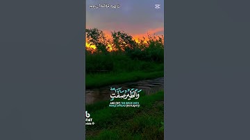تلاوه خاشعه للشيخ عبد الباسط عبد الصمد #قران_كريم #اكسبلور #المصحف