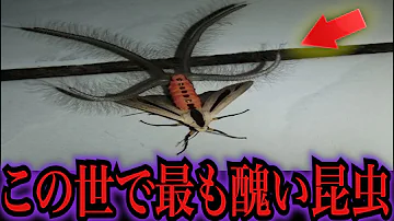 気持ち悪い生物 気持ち悪い生物