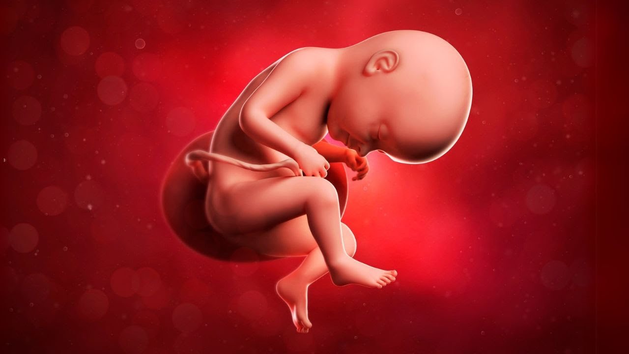 2H ЛУЧШИЙ ЗВУК ЧРЕВА | БЕЛЫЙ ШУМ | ЗВУКИ МАТКИ, КОТОРЫЕ ПОМОГУТ РЕБЕНКУ СПАТЬ ВСЮ НОЧЬ