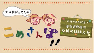 玄米耕房かめたの " こめさんぽ " 「愛知県豊橋市／女神のほほえみ」 豊橋生まれの米 女神のほほえみ 田植え体験会 愛知 設楽町