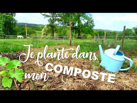 Vidéo: Comment Faire Pousser Des Légumes Sur Un Tas De Compost