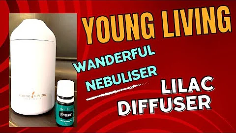 My New Travel Buddy: Young Living Wanderful Nebuliser or Lilac Diffuser | Kabs Erwin TV