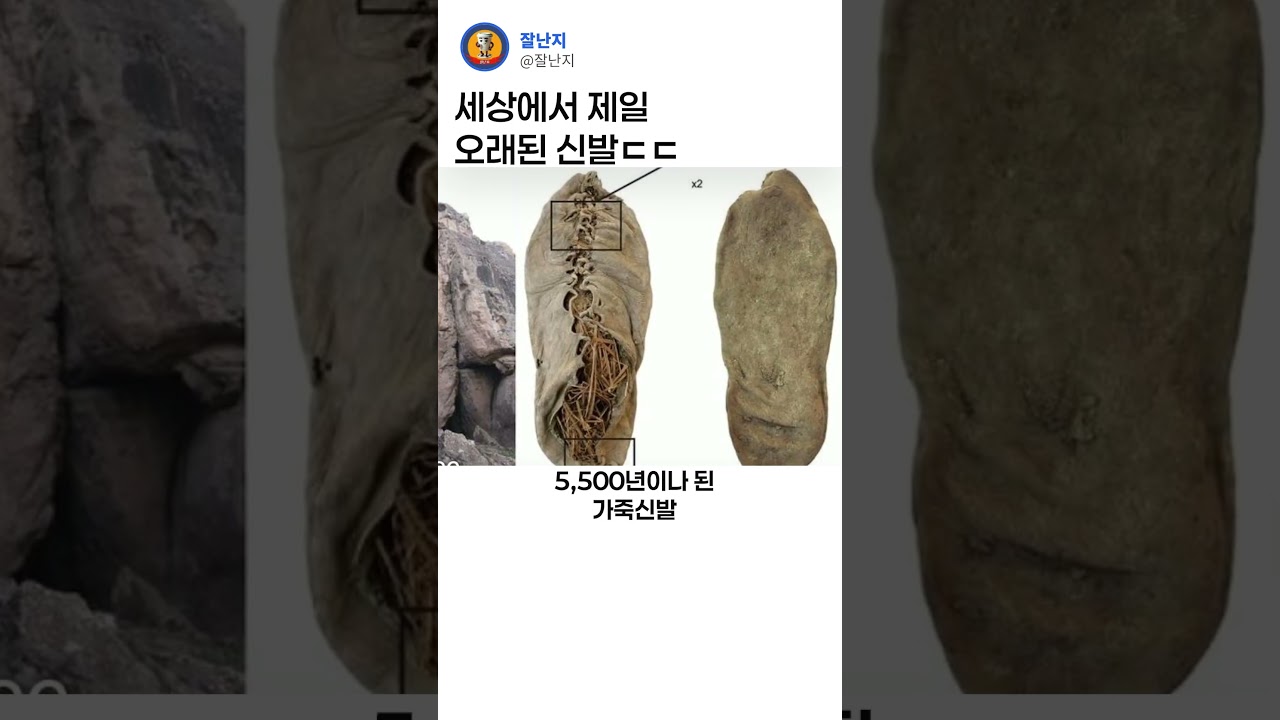 세상에서 가장 오래된 신발ㄷㄷ