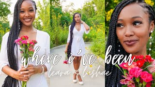 Download Lagu nieuwe begin ✨… MP3