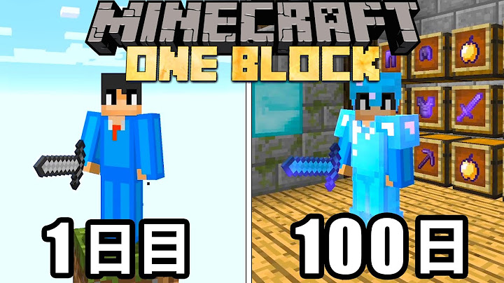 マイクラ ワンブロックで100日間ハードコア生活した結果が凄すぎた マインクラフト 100days Youtube