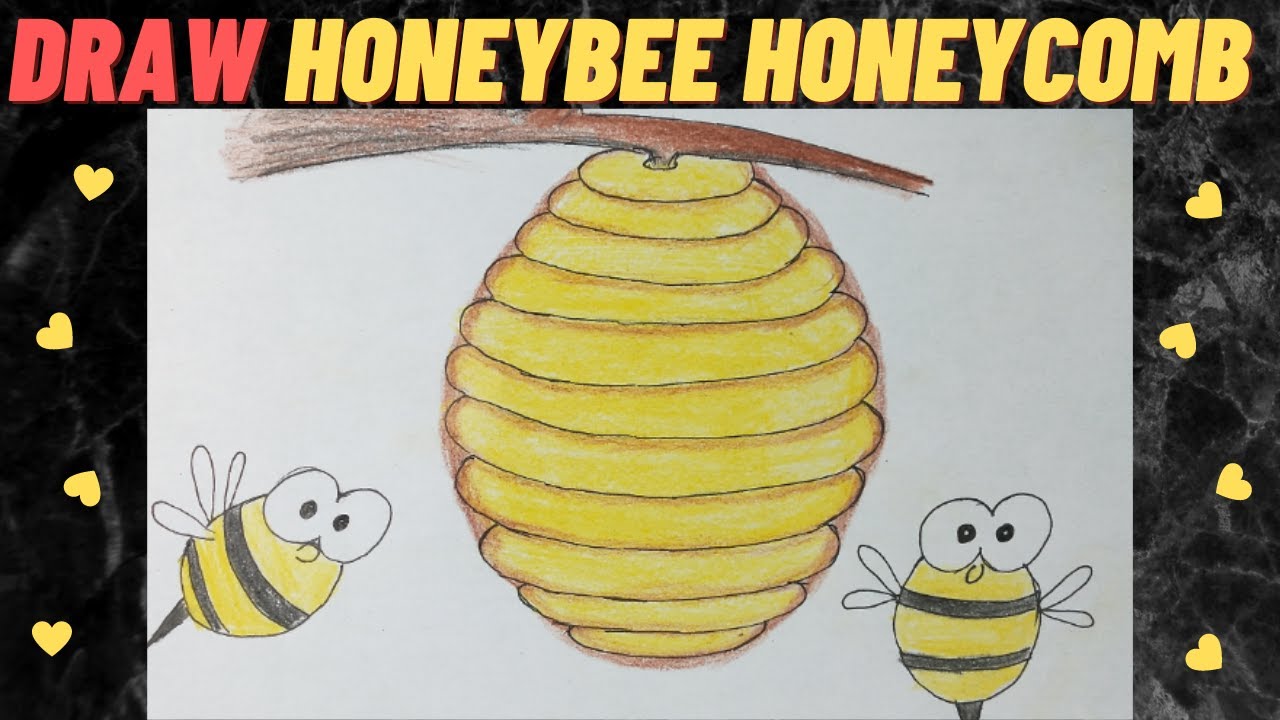 honeycomb drawing