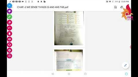 CLASS 4 EVS CHAP 2 WE SENSE THINGS Q AND ANS