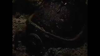American Horror Story Apocalypse FX Season 8 Promo Gasmask Teaser American Horror Story Apocalypse FX Season 8 Promo Gasmask Teaser
