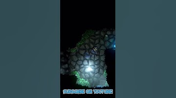 Welcome to the Jungle 🦍