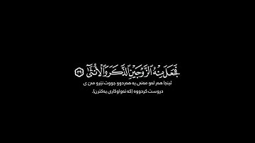 أيحسب الإنسان أن يترك سدى🥺 | كروما شاشة سوداء _قرآن كريم 🌹🌿