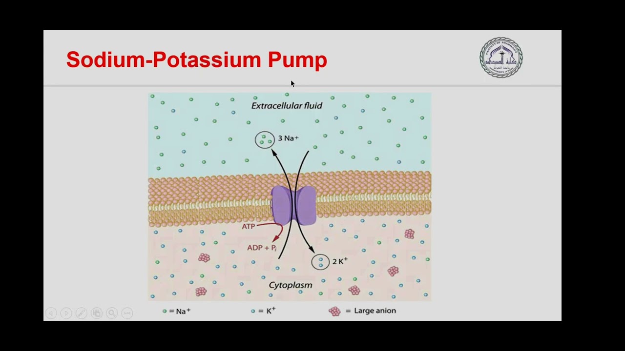 مستشفيات || د.زيد فخر الدين، Fluid Balance and Intravenous Fluid Therpy