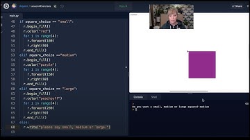 Python Turtle Lesson 4 | Conditionals