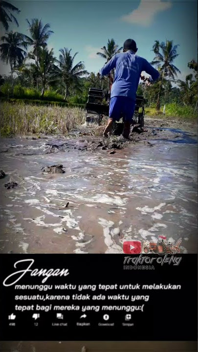 Story wa Traktor sawah