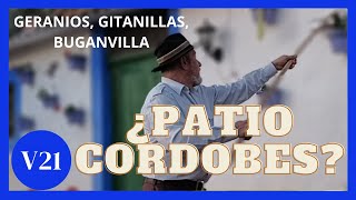 GERANIOS, GITANILLAS, ¿PATIO CORDOBEZ? La Casa De la ladera ASMR