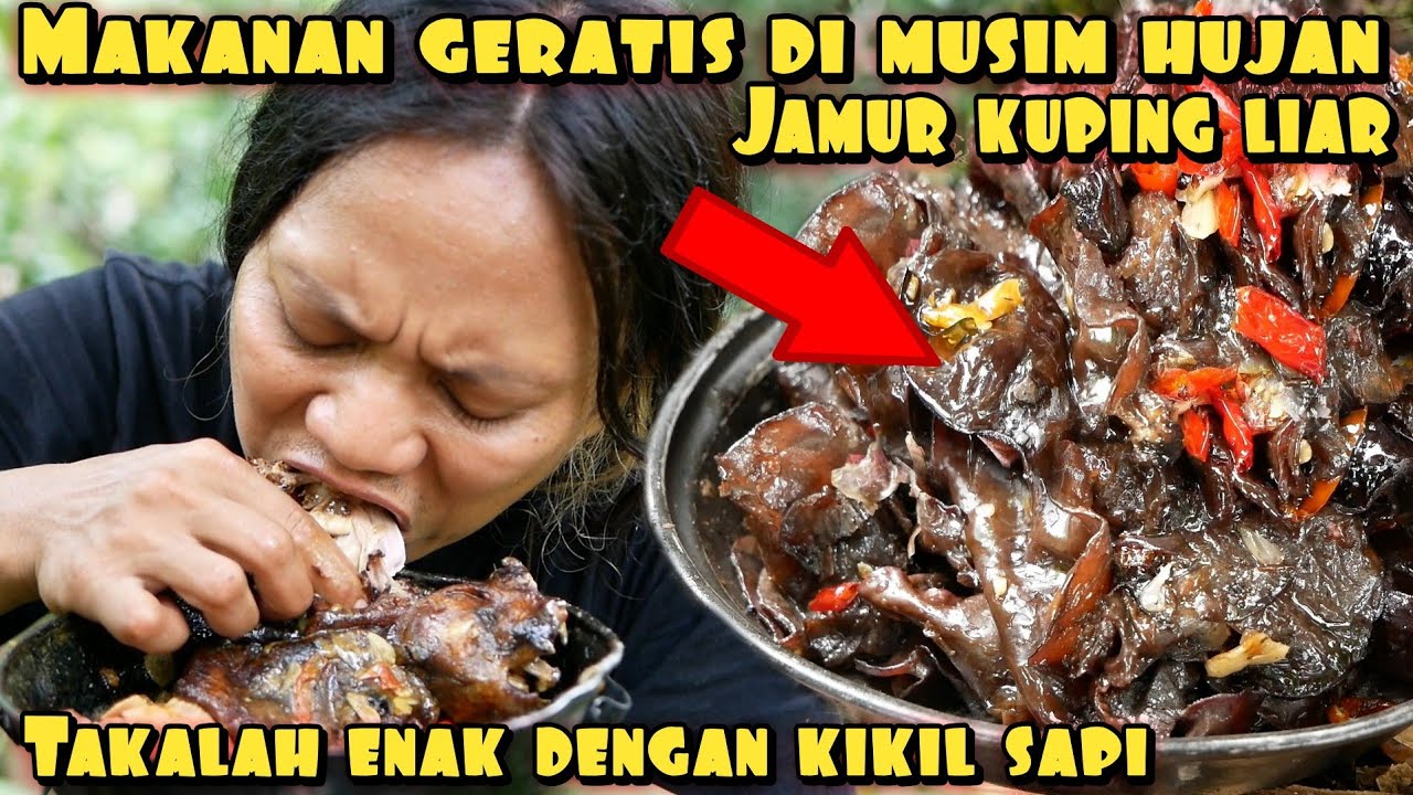 PANEN JAMUR LIAR BERSERAKAN AUTO DI MASAK SAMPE MABOK