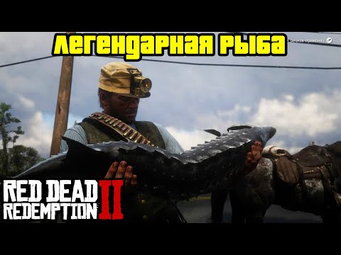 Видео: Прохождение RDR 2 на 100% - Легендарная рыба [Часть 3] (Глава 3 - Полуостров Клеменса)