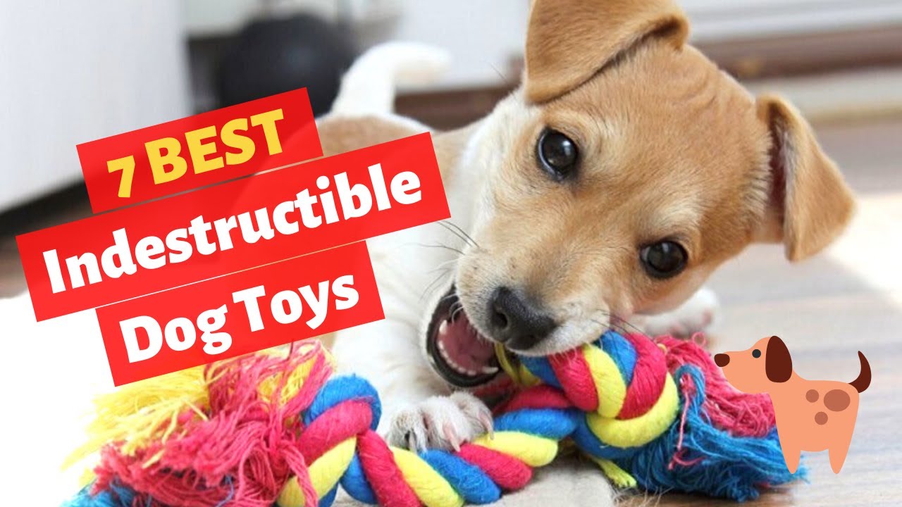 7 Best Tough Indestructible Dog Toys