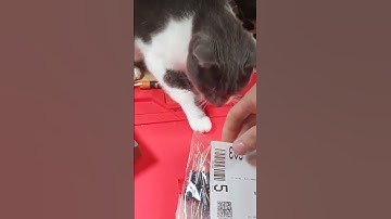 Capacitor restock and great customer service from Mouser #zxspectrum #electronics #retro #computer