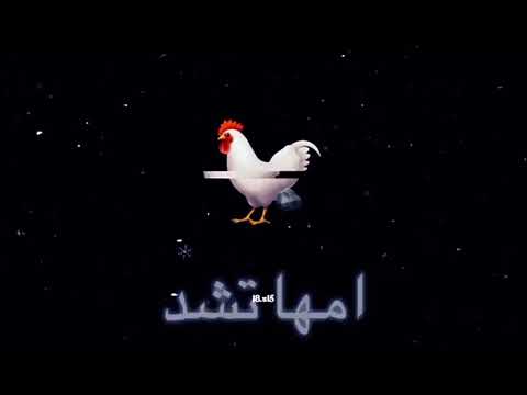 اغنيه دجاجه عالصخره