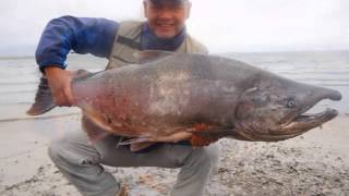 PESCA PARQUE NACIONAL TORRES DEL PAINE PESCANDO CHINOOK EN RIO SERRANO PATAGONIA CHILE