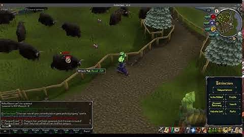 Top Runescape Private Server: Eternal718 Runescape Private Server Brand New RSPS