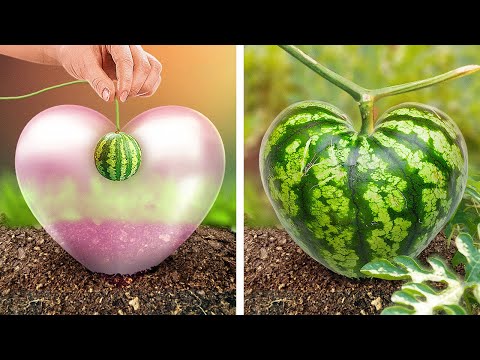 ВЕСЕННИЕ ЛАЙФХАКИ ДЛЯ САДОВОДСТВА 🥕🌱🌷 ЛУЧШИЕ ИДЕИ ДЛЯ ВЫРАЩИВАНИЯ ОВОЩЕЙ, ФРУКТОВ И ЦВЕТОВ