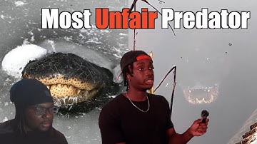 Why This is the Scariest Predator of All Time (Reaction)