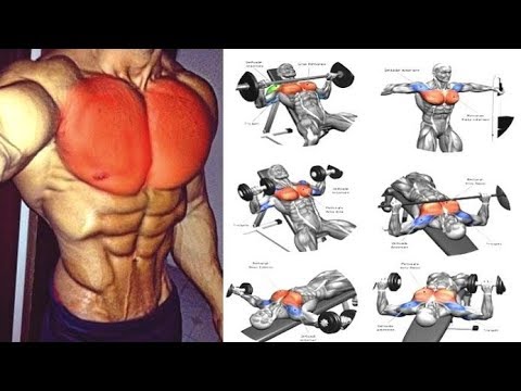 Vídeo: Com Fer Exercicis Pectorals