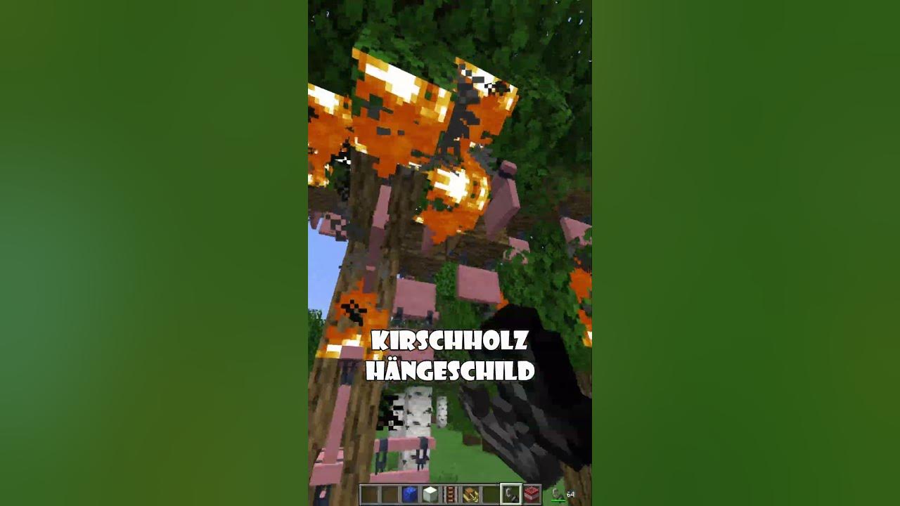 MINECRAFT ENGLISCH vs. DEUTSCH ☠ shortvideo ytshorts fr0zennoah 