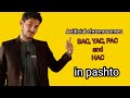 Artificial chromosome in pashto||bacterial artificial chromosome from undefined learning