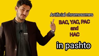 Artificial chromosome in pashto||bacterial artificial chromosome from undefined learning